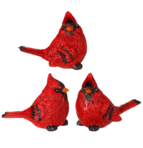 Cardinal - Red
