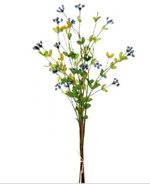 WILD BLUEBERRY BUNDLE