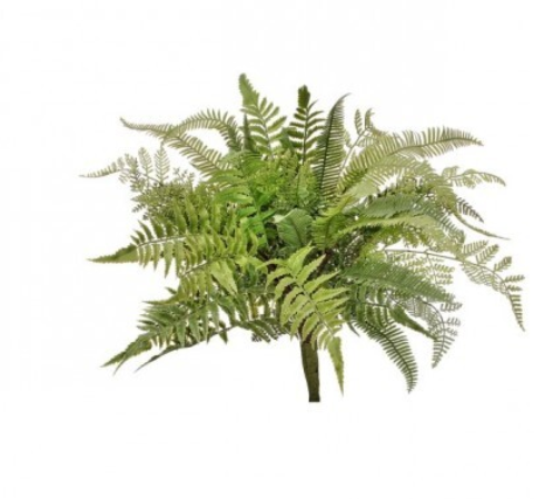 PL. NAT TOUCH MIX FERN PLANT 20"