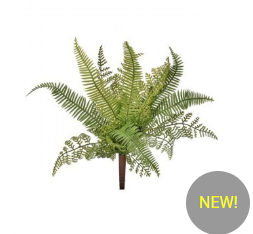 PL. NAT TOUCH MIX FERN PLANT 13"