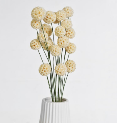 White Windball Flower