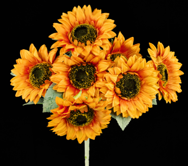 SUNFLOWER BUSH (Orange)