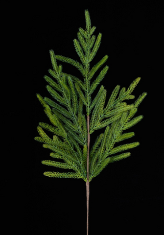 ALPINE FIR SPRAY - real touch