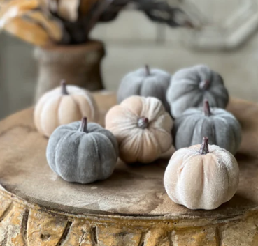 Velveteen Pumpkins | 7 pcs