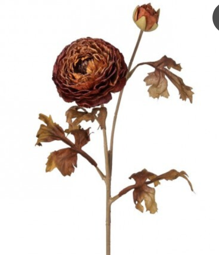 Autumn Ranuculas Stem (3 colors)