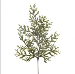 FROSTED LYCOPODIUM SPRAY