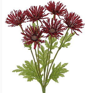 GARDEN MUM BUSH X6 (two colors)
