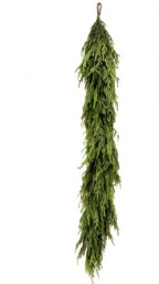 NATURAL TOUCH NORFOLK PINE GARLAND