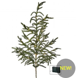 LED/BTY/TMR  N.TOUCH NORFOLK PINE