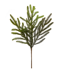 Balsam Fir Pick