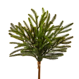 Balsam Fir Bundle