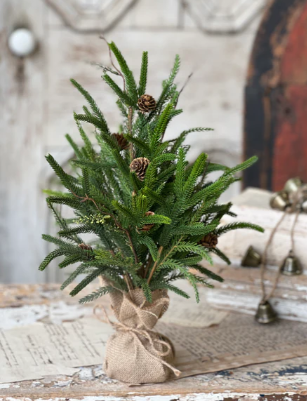 19" Pencil Pine Tree- Real Touch