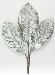 Snowy Magnolia Leaf Pick