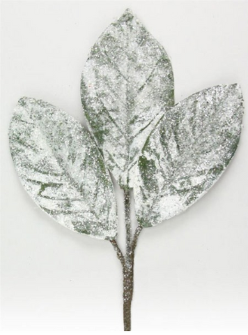 Snowy Magnolia Leaf Pick