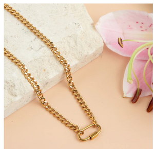 Two Tone Carabiner Chain Necklace