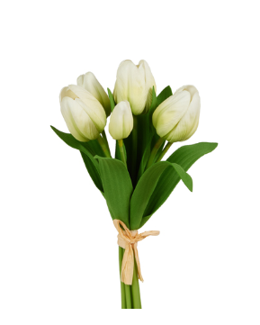 White Tulip Bundle