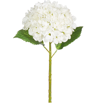 19" Hydrangea Stem (pink or white)