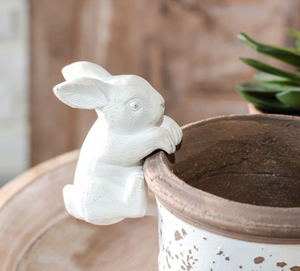 Climbing Bunny Pot Hanger