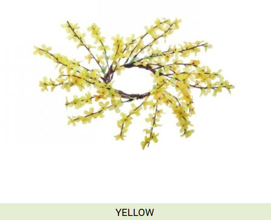 WILD FORSYTHIA COLLECTION