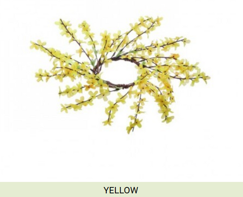 WILD FORSYTHIA COLLECTION