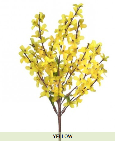 WILD FORSYTHIA COLLECTION