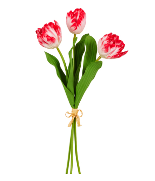 Red Tulip Bundle