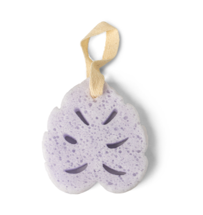 Super Sudsy Soap Sponge