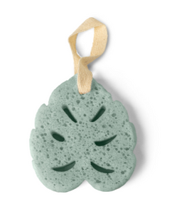 Super Sudsy Soap Sponge