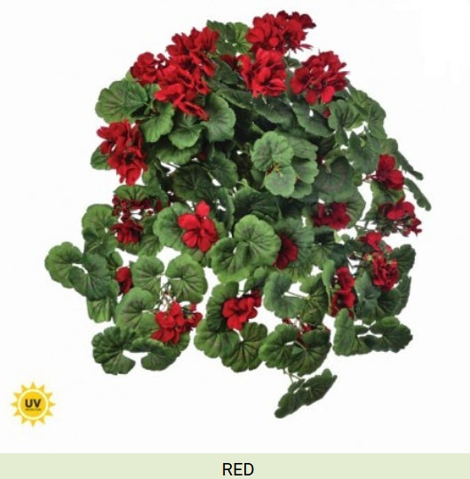 UV HANGING GERANIUM PLANT – Jentrie Home Decor Store