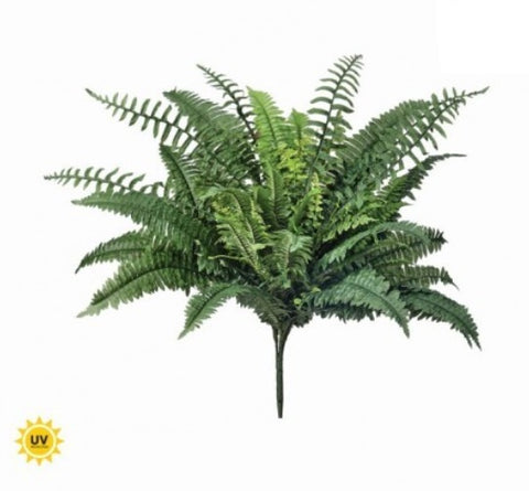 UV ESTATE UPRIGHT BOSTON FERN