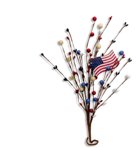 USA Pick W/ Flags