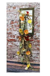 Multi-Color Poppy Collection