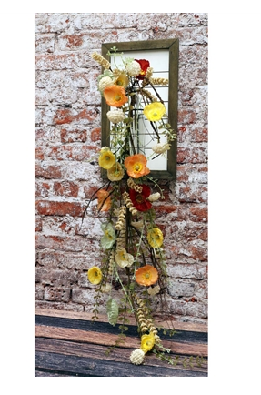 Multi-Color Poppy Collection