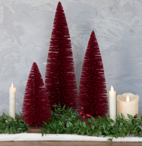 Burgundy Bottlebrush Trees