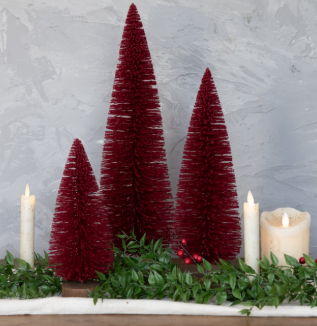 Burgundy Bottlebrush Trees