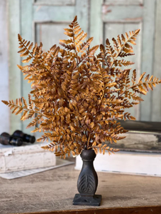 Autumnal Fern Bundle