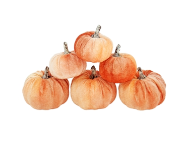 Orange Velvet Pumpkins