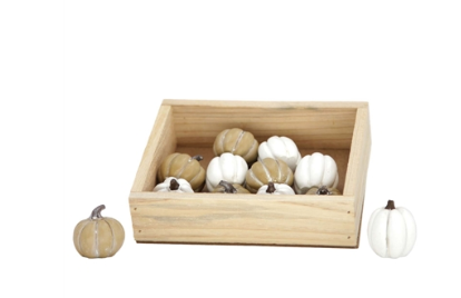 Mini White/Tan Mini Pumpkins