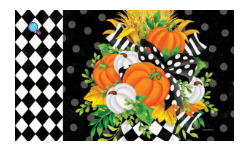 Black & White Planter Collection
