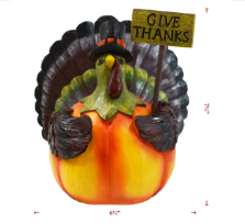 Give Thanks Turkey