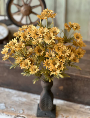Ashdale Daisy Bush (3 colors)
