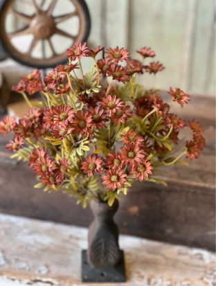 Ashdale Daisy Bush (3 colors)