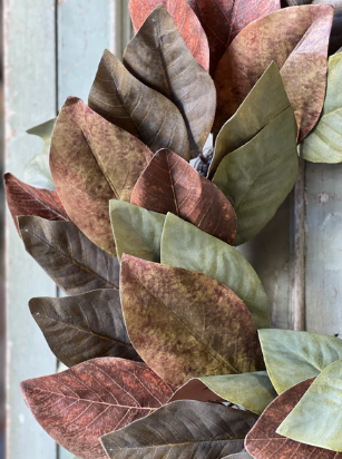 Painterly Magnolia Collection