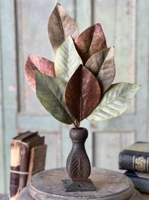 Painterly Magnolia Collection