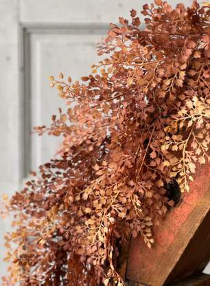 Tattersall Leaves Collection