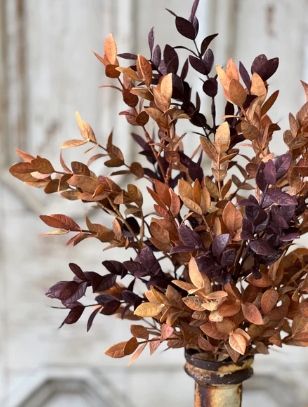 Ombre Woods Collection