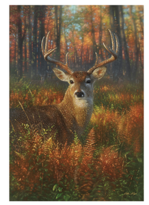 Gazing Autumn Buck Collection