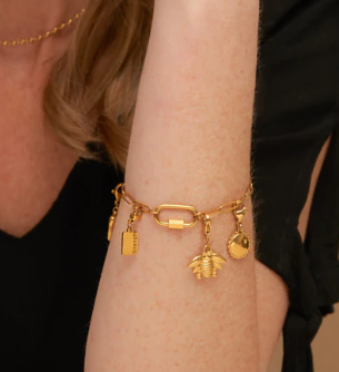 Paperclip Chain Carabiner Bracelet