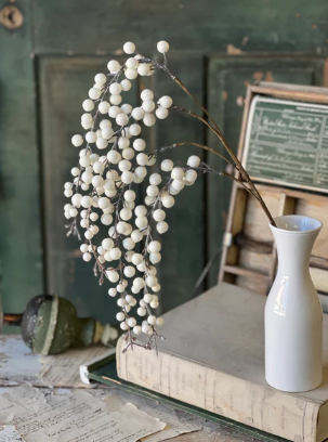 Icy Snowdrop Berry Collection