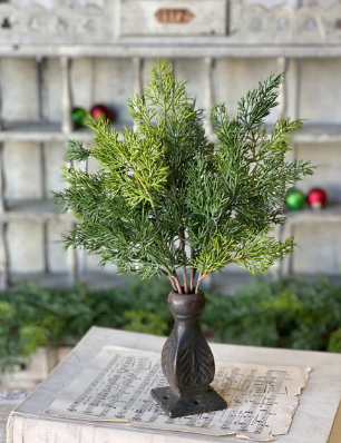 Verdant Cedar Collection